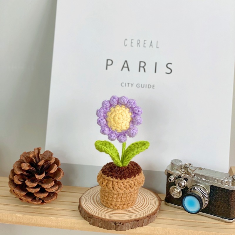 B purple small daisy potted