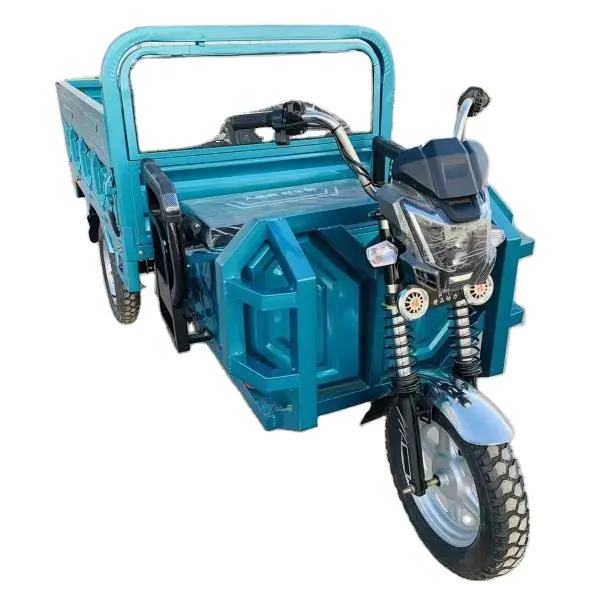 Sepeda roda tiga listrik kargo kualitas tinggi untuk pengiriman kargo 3C disetujui warna biru tiga roda listrik roda tiga 3000w