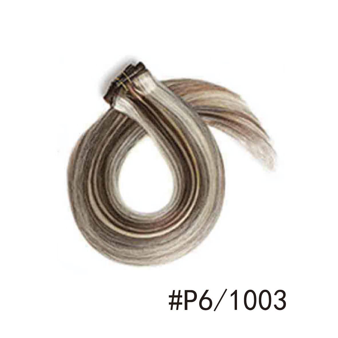 P6/1003