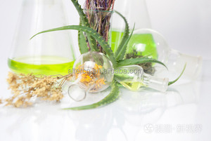 <strong>Oil</strong> of Plants <strong>Oil</strong> Pure Natural and High Quality Birch Anise Pine Needle Jasmine Bark <strong>Oil</strong> - Product Image 6