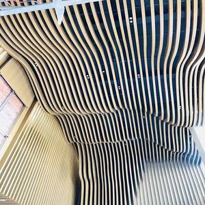 Hiện đại trang trí trần giả thiết kế đá đen trần kim loại nhôm đường cong vách ngăn Trần - Product Image 4