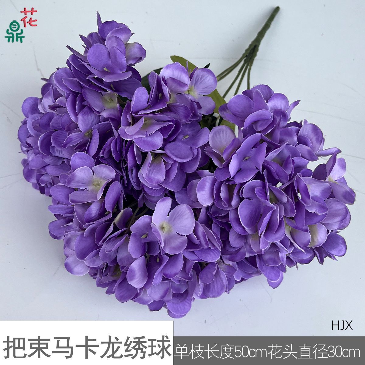Un ramo de hortensias macaron, HJX púrpura.