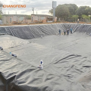 0.5mm 1.0mm魚農場池ライナーHDPE/LDPE/LLDPEジオメンブレーン価格ライナーインドネシアのプラスチック貯水 - Product Image 1
