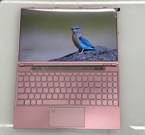 Commercio all'ingrosso 15.6 pollici rosa portatile vincere 11 studenti Yoga Notebook Computer portatile Intel Celeron N95 Computer portatile per le imprese - Product Image 4