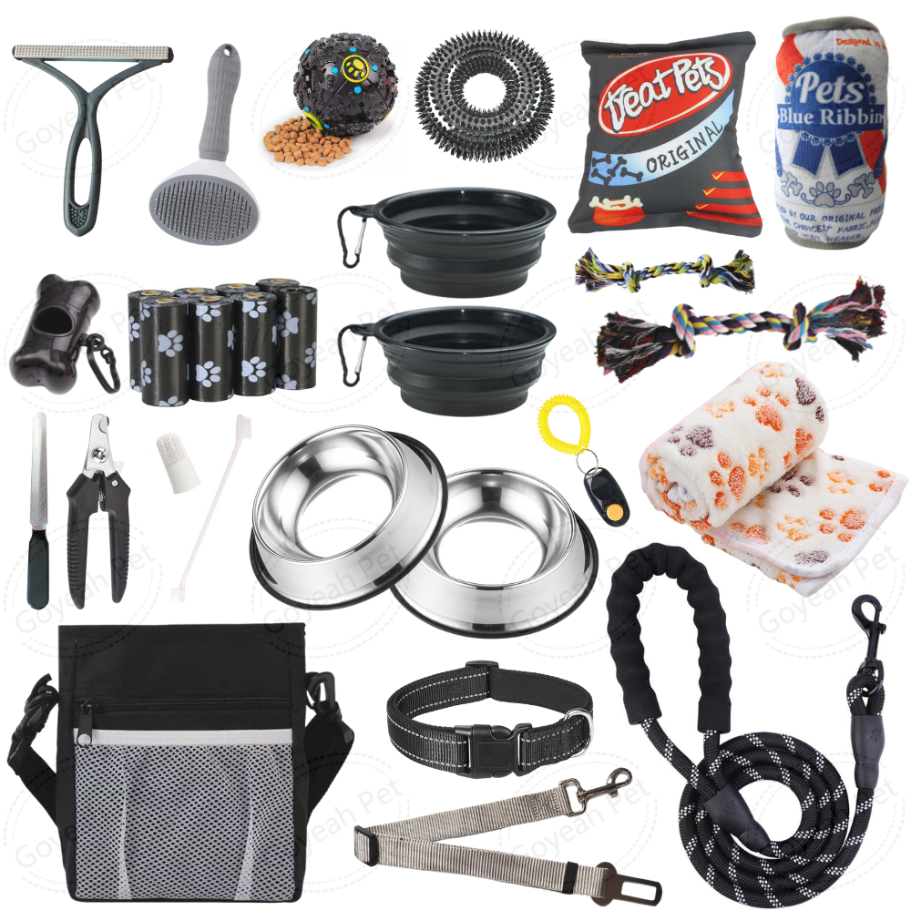 31 Packs-Black