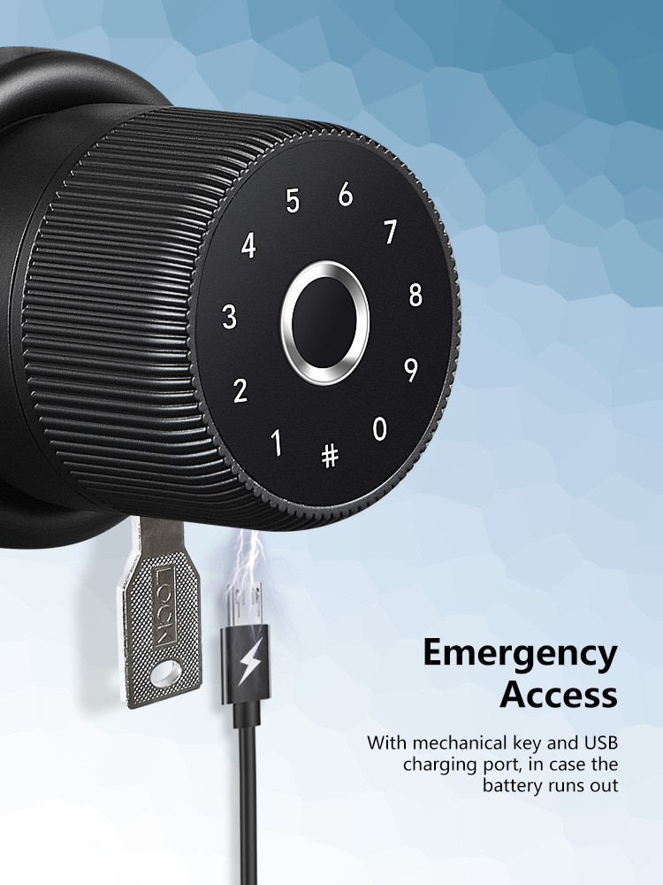 Luxury TTlock APP Digital Door Knob Rfid Card Key Digit Fingerprint Smart Lock
