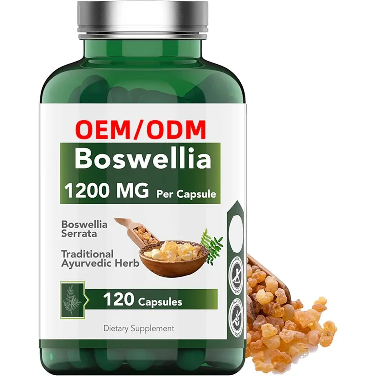 Boswellia Serrata Kruidenextract Capsules Gezamenlijke Ondersteuning Supplement Ayurvedisch Kruid Indiaan Olibanum Wierook