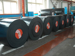 Sistema de transporte de elevación de alta calidad para las necesidades de automatización del centro de distribución - Product Image 6