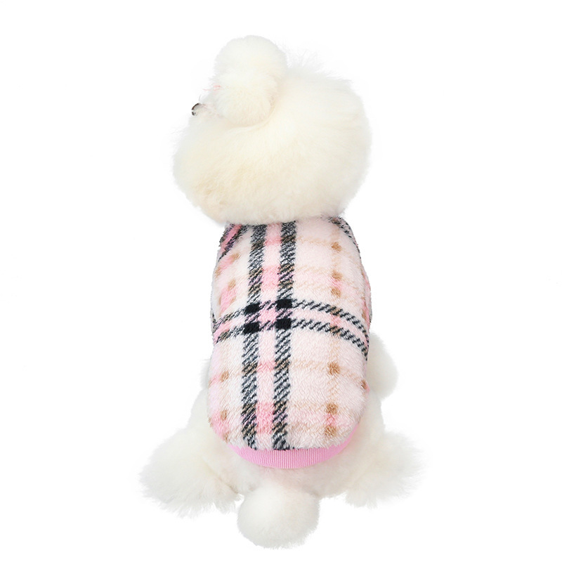 Plaid rose