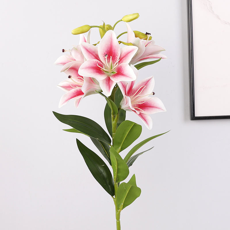 ชมพูเข้ม