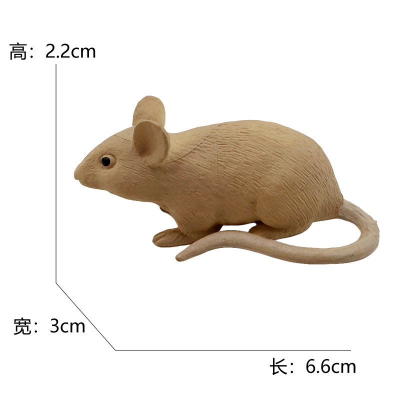 546 souris-203g