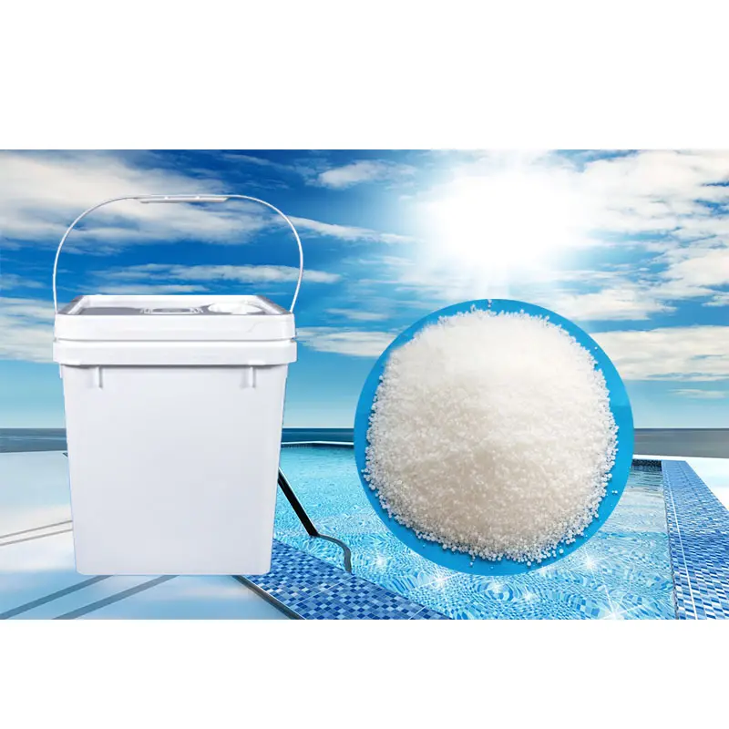 Swimming Pool Water Treatment Chemical PH Reducer Sodium Bisulfate PH Minus