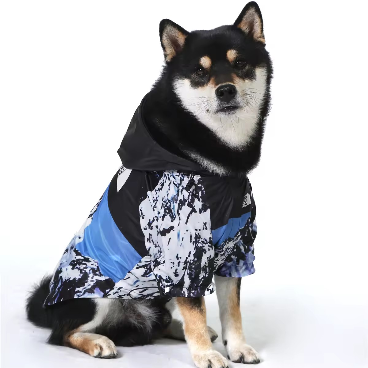 Bleu