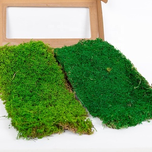 天然绿色保存平青苔片保存的青苔墙装饰 - Product Image 2
