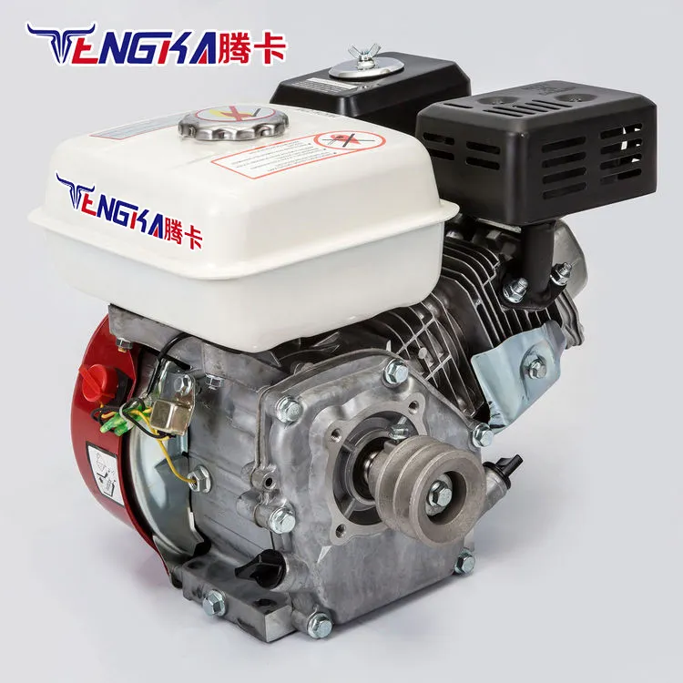 Tengka Mini Tweecilinder Benzinemotor 6,5 Pk Waterpomp Benzinemotor
