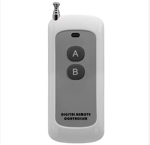 Mejor venta DC12V 2 botones Universal Auto puerta alarma sistema de seguridad electrónica abridor de puerta RF Control remoto inalámbrico - Product Image 1