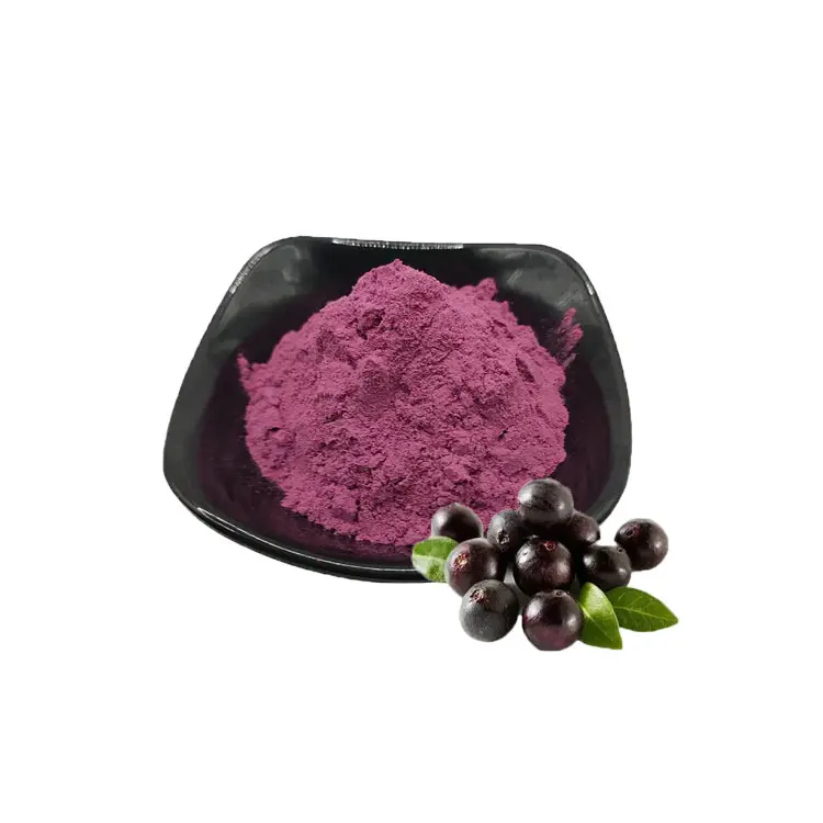 Meyve suyu tozu Acai Berry tozu brezilya