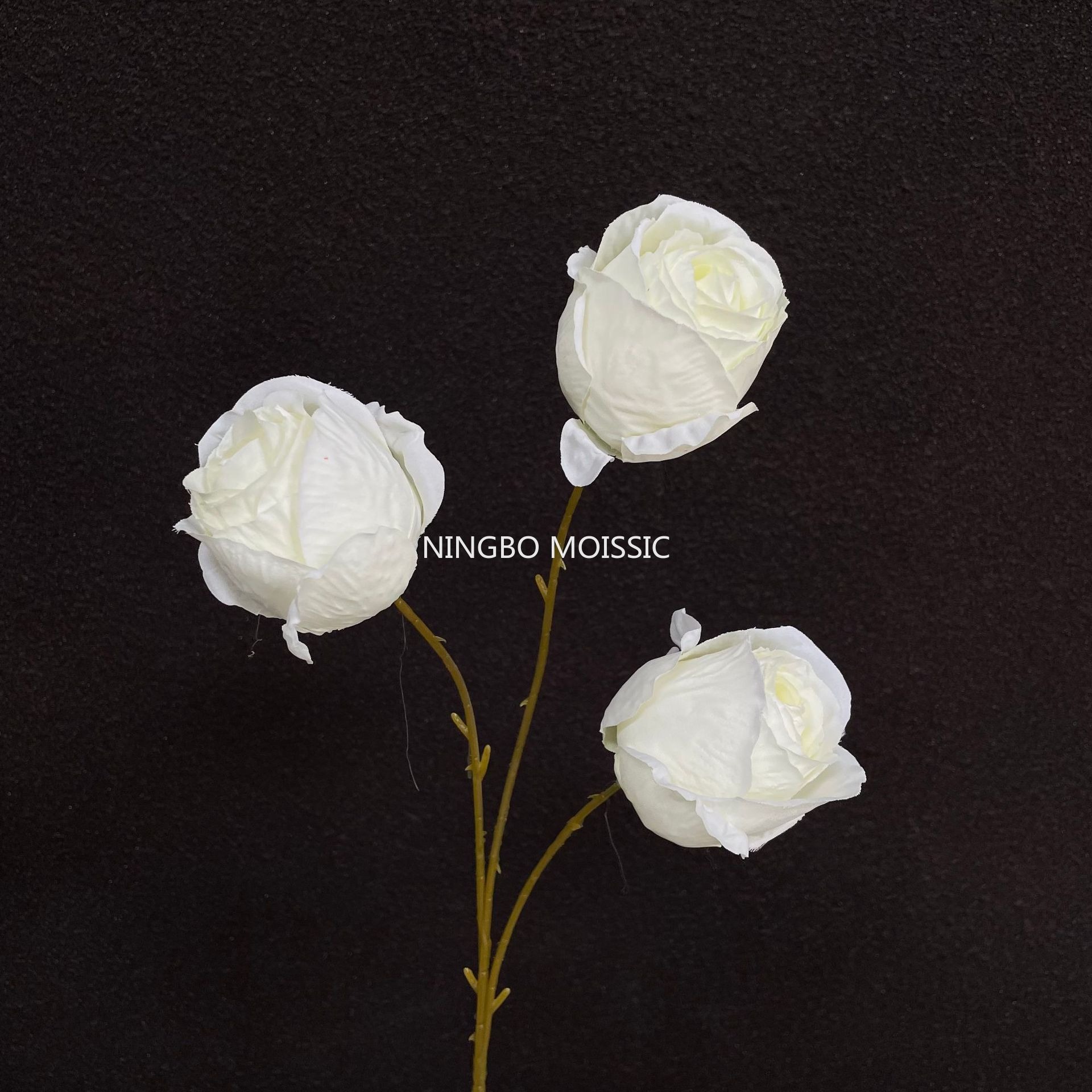 Blanc