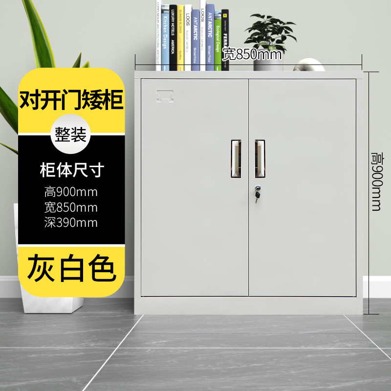 Opposition short cabinet
