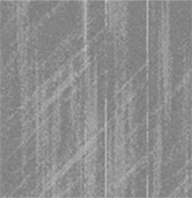 Gris6
