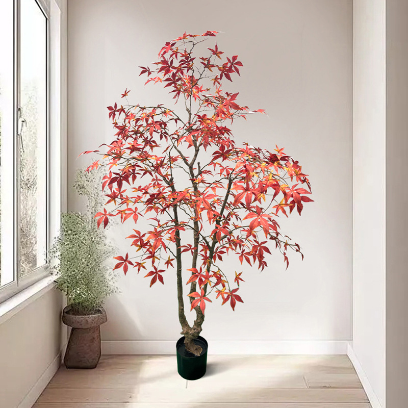 Arce 1-h200cm