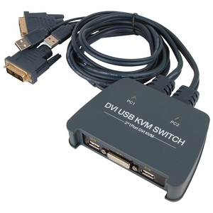 Customization <strong>2</strong> Ports USB Built-in Cable DVI <strong>KVM</strong> <strong>Switch</strong> Series <strong>2</strong> <strong>Input</strong> <strong>1</strong> <strong>Output</strong> Hotkey Control