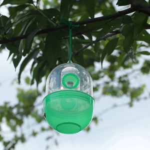 Yeniden açık Wasp asılı Fly Trap Catcher arıcılık Catcher kafes ekipman aletler Hornet haşere kontrolü - Product Image 5