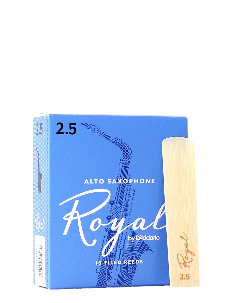 Blue box alto 2.0