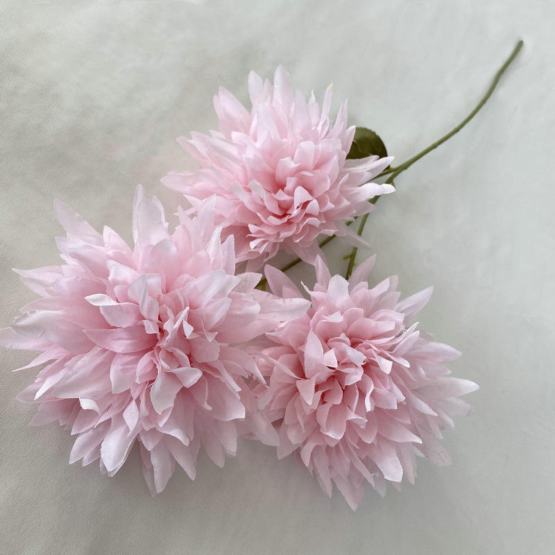 Rose, 3 boules de chrysanthèmes flamboyants