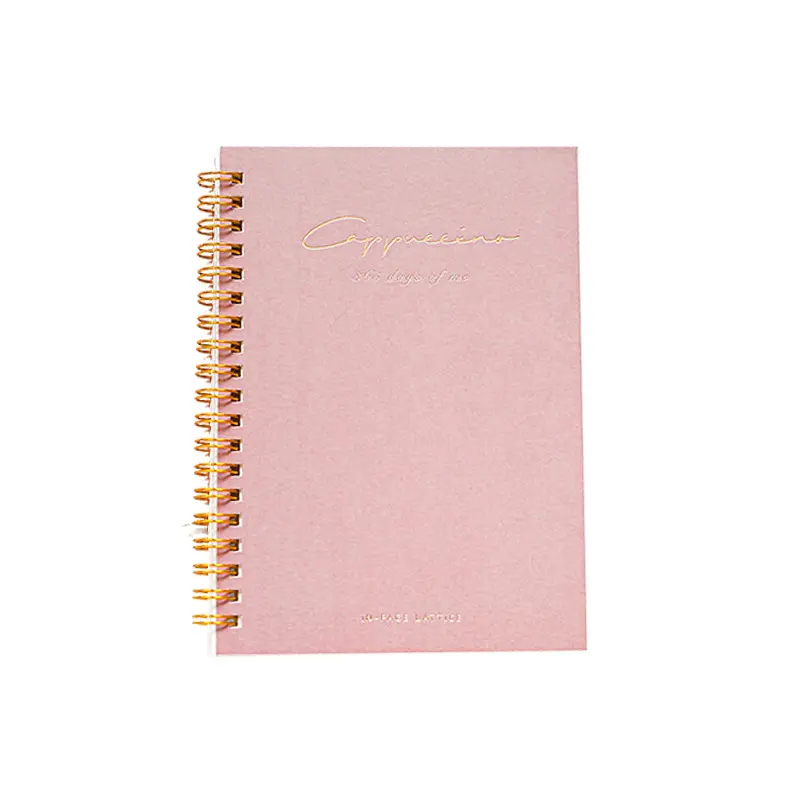 A4 set estetico a righe carino set di cancelleria personalizzabile per viaggiatori vintage extra large notebook diario a spirale planner