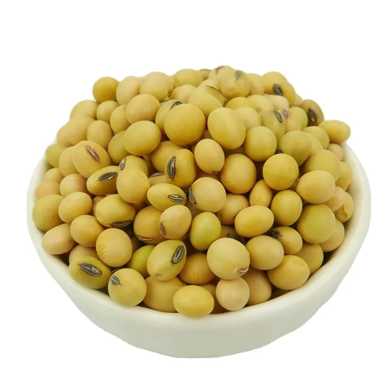 סיטונאי Nihewan אורגני שאינו Gmo Soyabean צהוב סויה Soja סויה שעועית