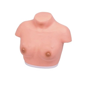 KyrenMed Advanced Female Breast Inspection and <strong>Palpation</strong> Model Breast Self Examination Model for Clinical Teaching - Product Image 3