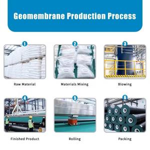 Yüzme barajı projesi balık çiftliği gölet Liner Hdpe geomembran için yüksek yoğunluklu polietilen su deposu - Product Image 6