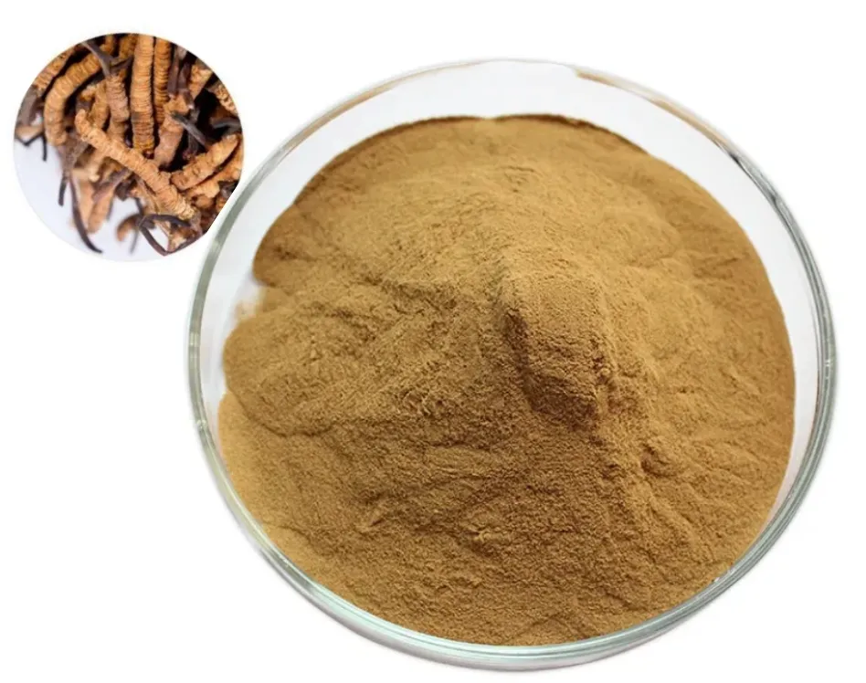 Potente Extracto de hongos en polvo mezcla Lions Mane, Cordyceps, extracto de Reishi alta calidad 6 en 1 comida