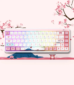 AKKO JIN01 Tokyo Wireless Metallic Mini Programmable Gasket Mount <strong>Key</strong> Board Gaming Keyboards - Product Image 1