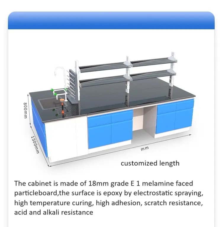 Empresa de fábrica de muebles de laboratorio de física microbiología lenguaje de computación escolar