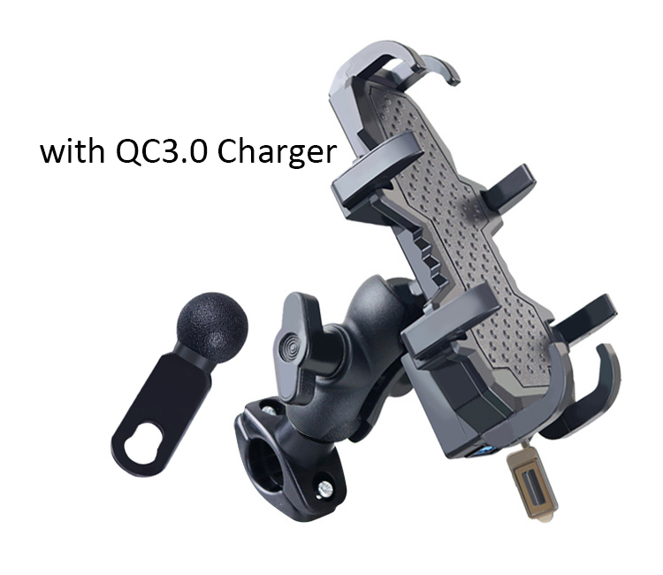 Both Mount with Charger