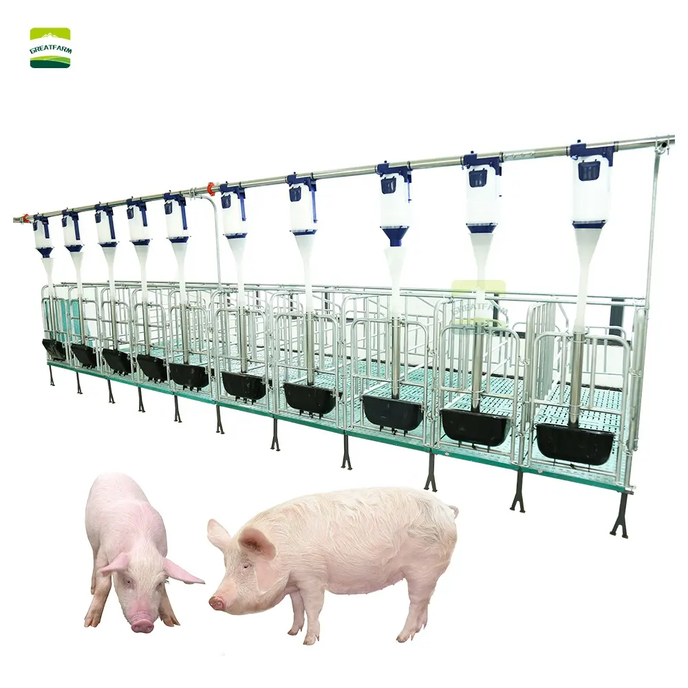 GREAT FARM Equipo de granja de cerdos Jaula automática de cerdos de engorde