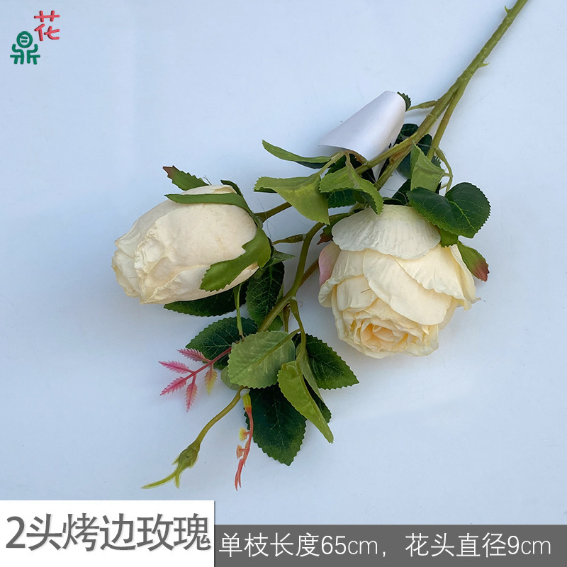2-head roasted edge rose GY champagne color