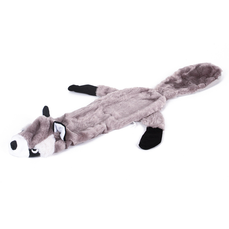 Mapache