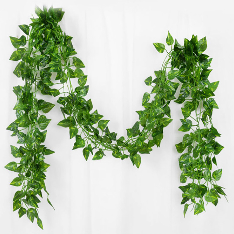 Vert 72 feuilles de pothos 2,1 m de long