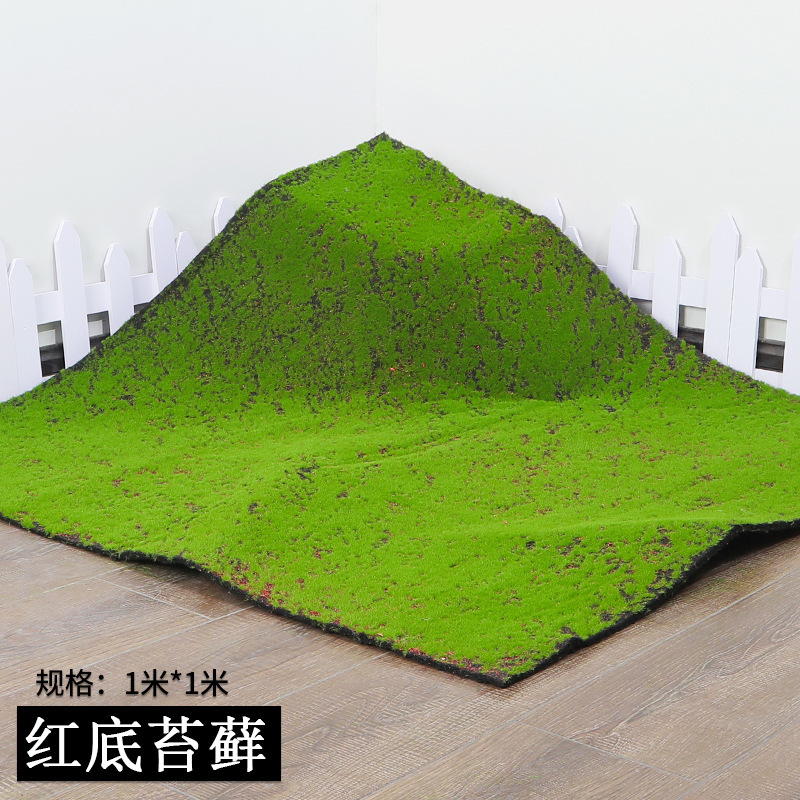 Red-backed moss-1x1m