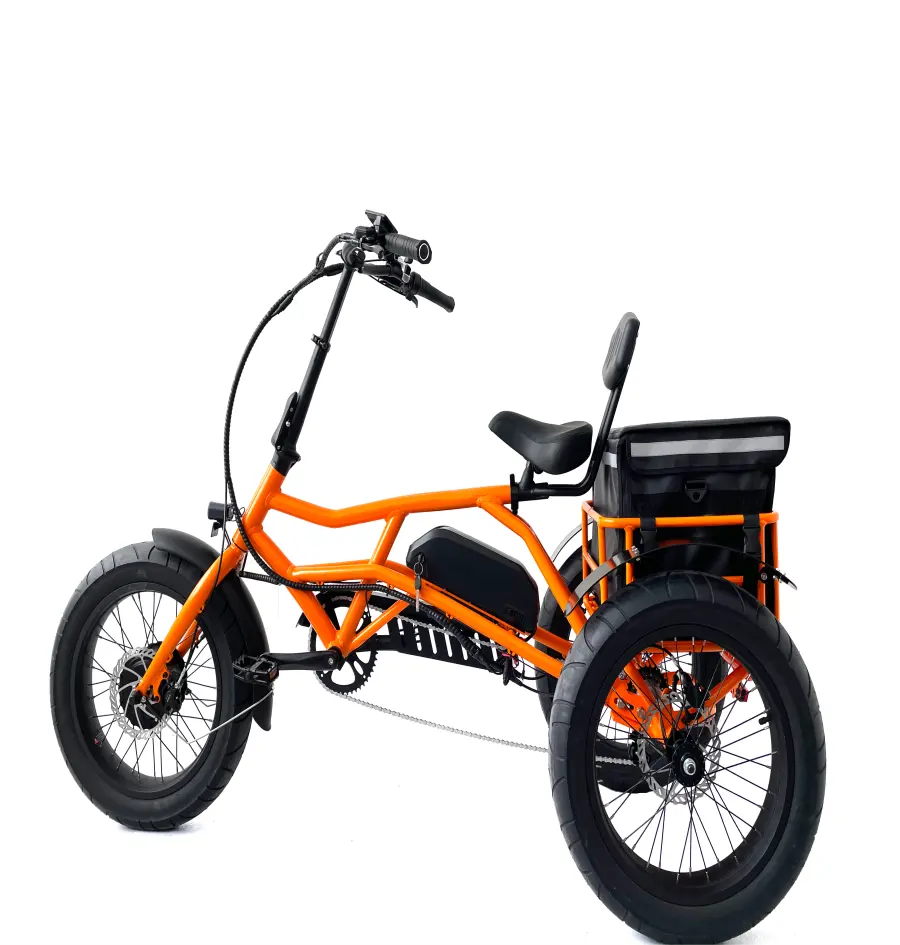 Tachimetro 48v bici elettrica rimovibile batteria pedalata assistita triciclo Cargo elettrico