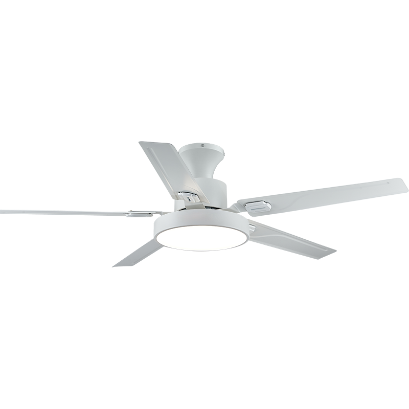 Type de plafond blanc
