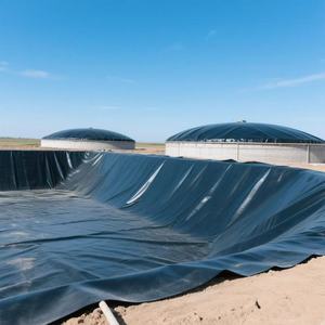 <strong>Best</strong> Price 0.3mm 0.5mm 1mm <strong>HDPE</strong> Geomembrane - Product Image 3