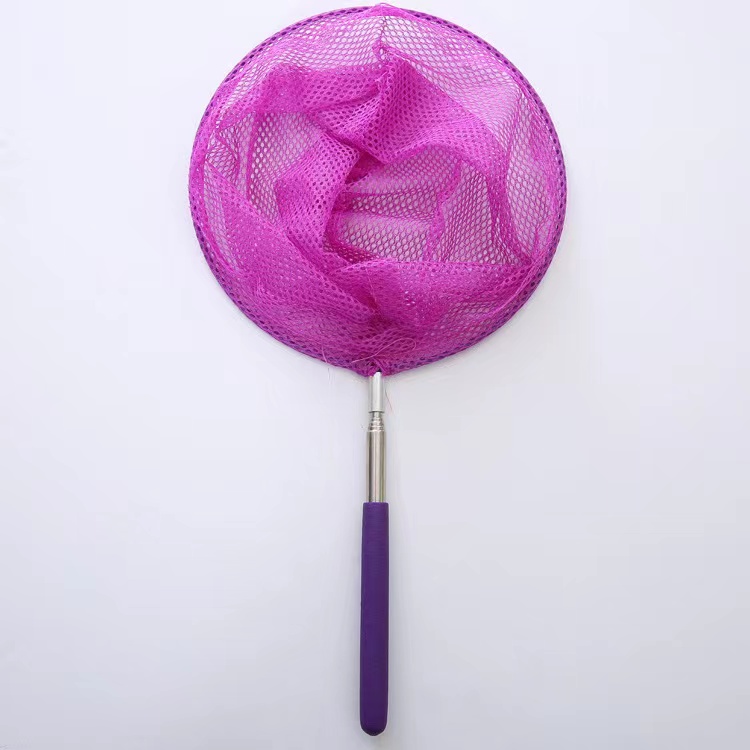Pourpre