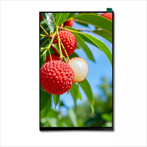 MIPI Mcu Rgb Spi Lvds interfaccia HD-MI 7 8 10.1 pollici piccoli pannelli Display Touch Screen modulo LCD TFT