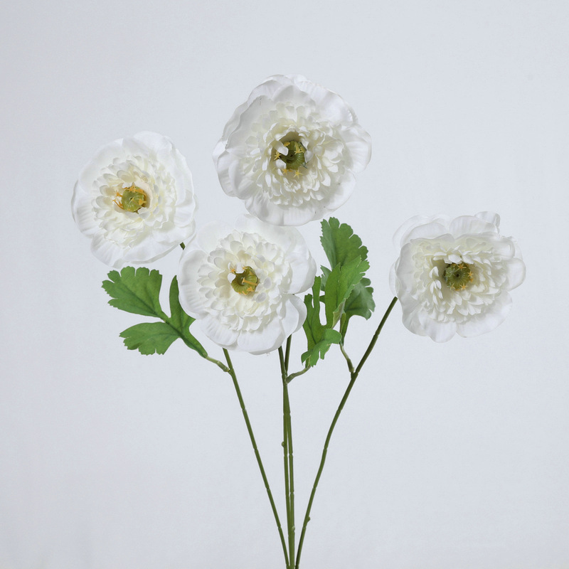 Blanc