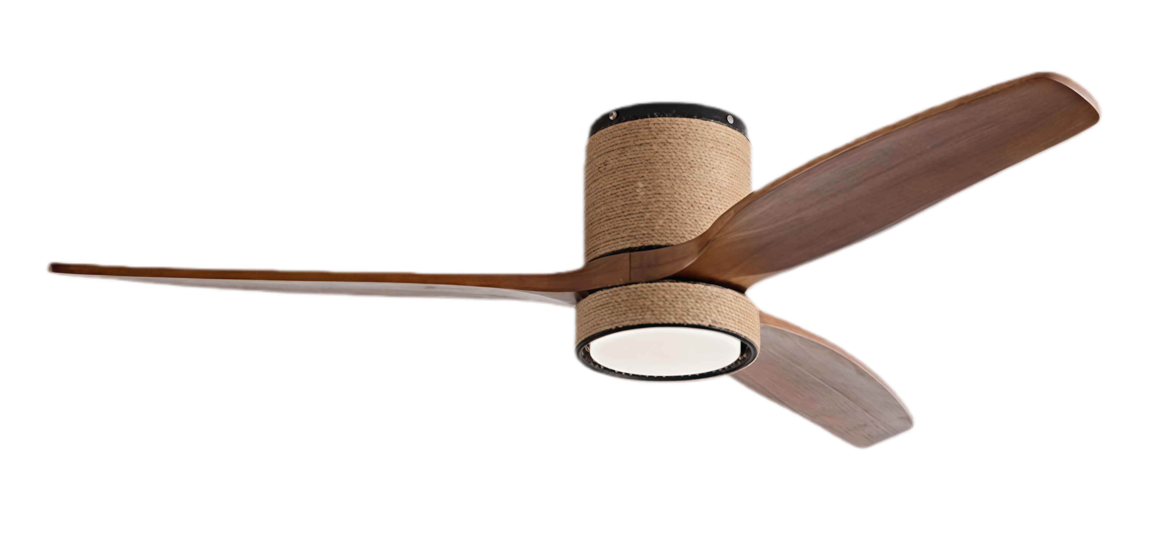 ไม้วอลนัทสีดำ