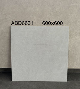 2025 bán chạy nhất 600x600 trắng mịn Antique gốm gạch lát sàn hiện đại trên bán - Product Image 2